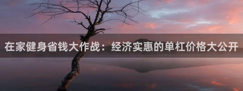 意昂3娱乐40996：在家健身省钱大作战：经济实惠的单杠价格