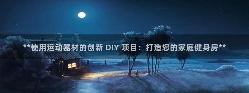 意昂体育3软件：**使用运动器材的创新 DIY 项目