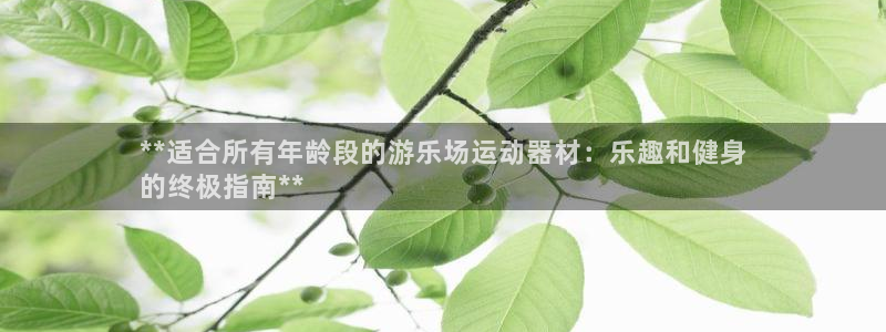 意昂3集团官网网址:**适合所有年龄段的游乐场运动器材:乐趣